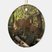 Moeder en Baby Deer in het natuurpark Shenandoah Keramisch Ornament (Links)