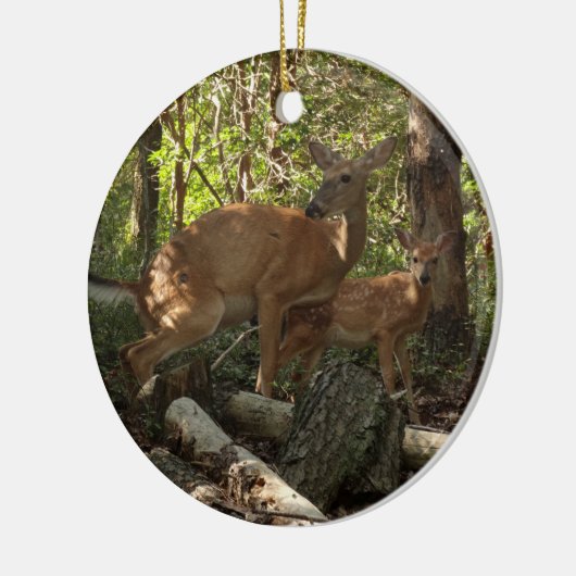Moeder en Baby Deer in het natuurpark Shenandoah Keramisch Ornament (Links)