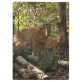 Moeder en Baby Deer in het natuurpark Shenandoah Klembord (Achterkant)