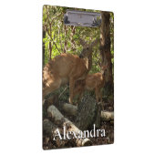 Moeder en Baby Deer in het natuurpark Shenandoah Klembord (Rechts)