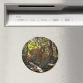 Moeder en Baby Deer in het natuurpark Shenandoah Magneet (Insitu (Vaatwasser))