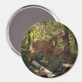 Moeder en Baby Deer in het natuurpark Shenandoah Magneet (Voorkant / Achterkant)