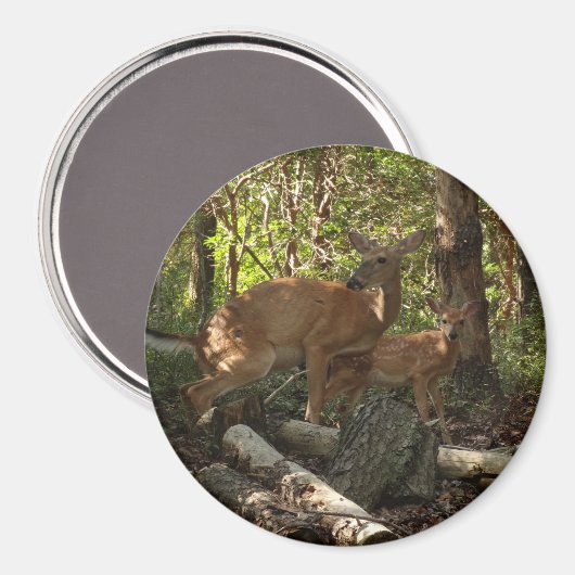 Moeder en Baby Deer in het natuurpark Shenandoah Magneet (Voorkant / Achterkant)