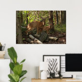Moeder en Baby Deer in het natuurpark Shenandoah Poster (Thuiskantoor)