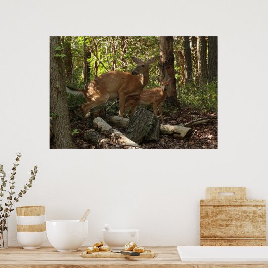 Moeder en Baby Deer in het natuurpark Shenandoah Poster (Keuken)