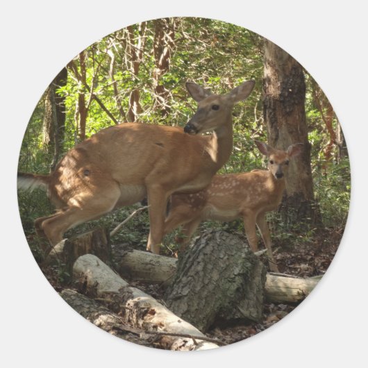 Moeder en Baby Deer in het natuurpark Shenandoah Ronde Sticker (Voorkant)