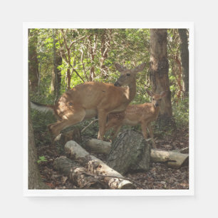 Moeder en Baby Deer in het natuurpark Shenandoah Servet