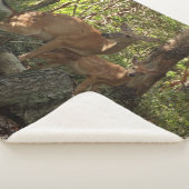 Moeder en Baby Deer in het natuurpark Shenandoah Sherpa Deken (3/4)