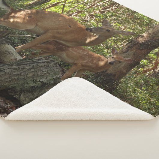 Moeder en Baby Deer in het natuurpark Shenandoah Sherpa Deken (3/4)