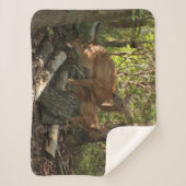 Moeder en Baby Deer in het natuurpark Shenandoah Sherpa Deken (Voorkant)