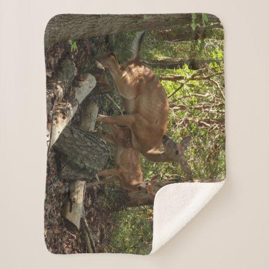 Moeder en Baby Deer in het natuurpark Shenandoah Sherpa Deken (Voorkant)