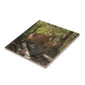 Moeder en Baby Deer in het natuurpark Shenandoah Tegeltje (Zijkant)