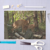 Moeder en Baby Deer in het natuurpark Shenandoah Tissuepapier (Craft)