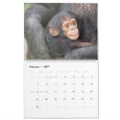 Moeder en Baby Dieren Kalender (Feb 2027)