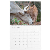 Moeder en Baby Dieren Kalender (Mar 2027)