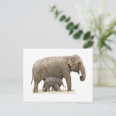 Moeder en Baby Elephant Briefkaart (Staand voorkant)