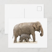 Moeder en Baby Elephant Briefkaart (Voorkant / Achterkant)