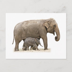 Moeder en Baby Elephant Briefkaart