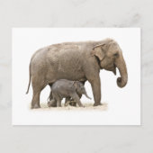 Moeder en Baby Elephant Briefkaart (Voorkant)