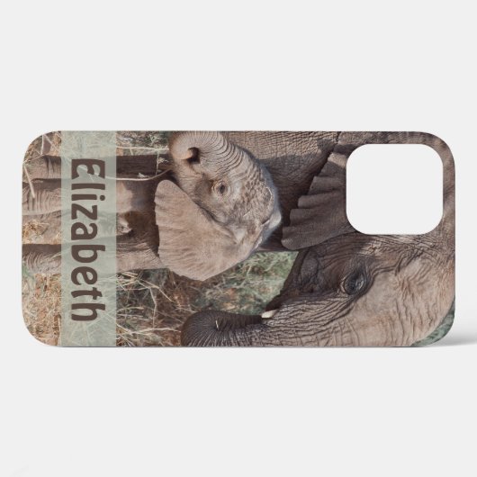 Moeder en Baby Elephant Case-Mate iPhone Case (Achterkant (horizontaal))