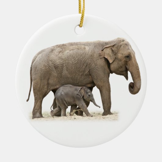 Moeder en Baby Elephant Keramisch Ornament (Voorkant)