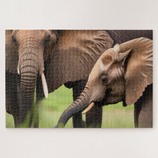 Moeder en Baby Elephant Legpuzzel (Horizontaal)