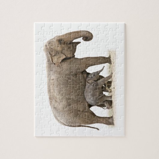 Moeder en Baby Elephant Legpuzzel (Verticaal)