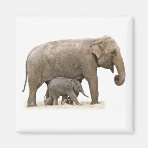 Moeder en Baby Elephant Magneet