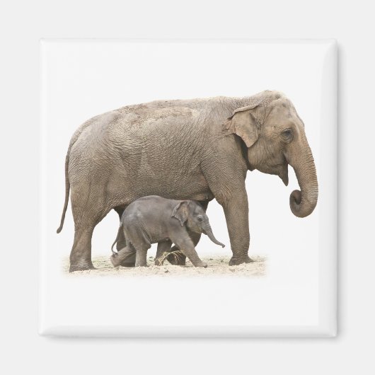 Moeder en Baby Elephant Magneet (Voorkant)