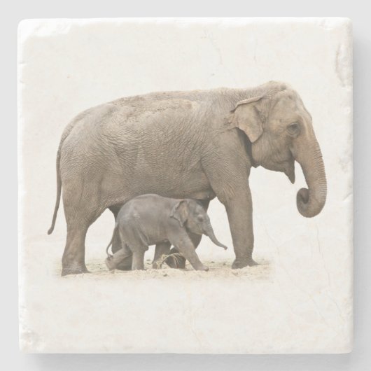 Moeder en Baby Elephant Stenen Onderzetter (Voorkant)