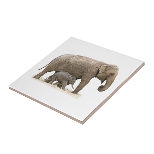 Moeder en Baby Elephant Tegeltje (Zijkant)
