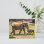 Moeder en Baby Elephant, Thailand Briefkaart (Staand voorkant)