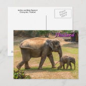Moeder en Baby Elephant, Thailand Briefkaart (Voorkant / Achterkant)