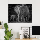 MOEDER EN BABY ELEPHANTS - ZWART EN WITTE POSTER (Thuiskantoor)