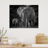 MOEDER EN BABY ELEPHANTS - ZWART EN WITTE POSTER (Keuken)
