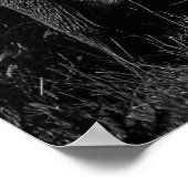 MOEDER EN BABY ELEPHANTS - ZWART EN WITTE POSTER (Hoek)