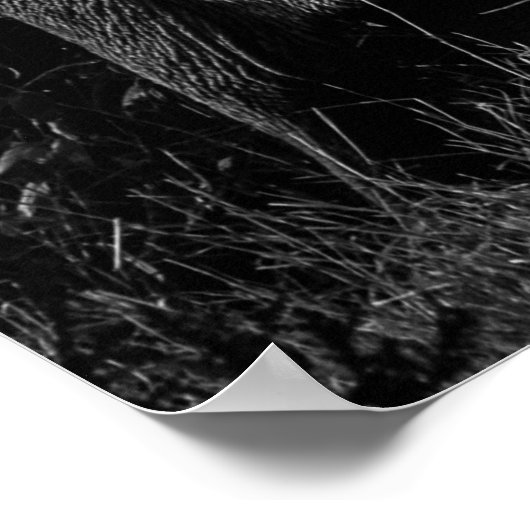 MOEDER EN BABY ELEPHANTS - ZWART EN WITTE POSTER (Hoek)