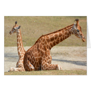 Moeder en Baby Giraffe