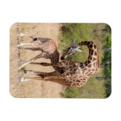 Moeder en baby-giraffe in Kenia Magneet (Horizontaal)