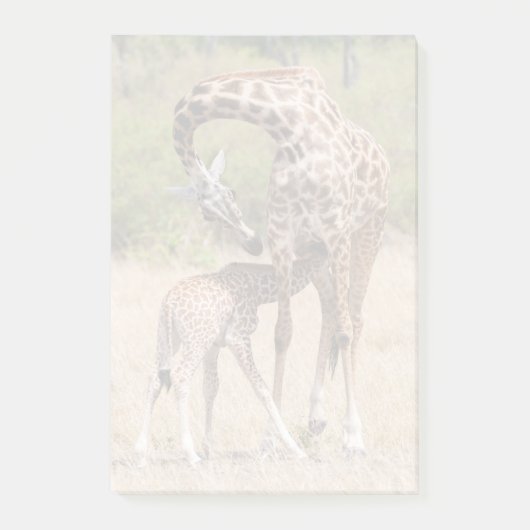 Moeder en baby-giraffe in Kenia Post-it® Notes (Voorkant)
