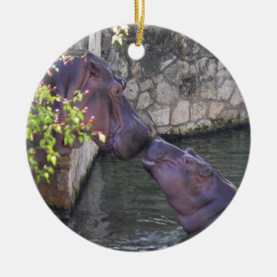 Moeder- en baby hippo-sierplant keramisch ornament