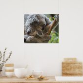 Moeder en baby joey koalas slaappelen poster (Keuken)