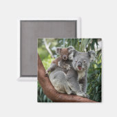 Moeder en Baby Koala Beer Magneet (Voorkant / Achterkant)