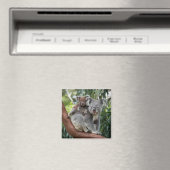 Moeder en Baby Koala Beer Magneet (Insitu (Vaatwasser))