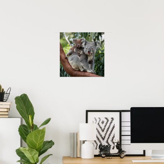 Moeder en Baby Koala Beer Poster (Thuiskantoor)