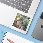 Moeder en Baby Koala Beer Sticker (Laptop met iPhone)