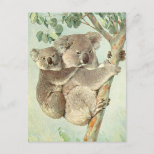 Moeder en Baby Koala Briefkaart