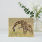 Moeder en baby Masai Giraffe, Giraffa Briefkaart (Staand voorkant)