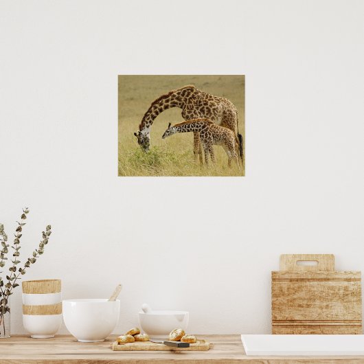Moeder en baby Masai Giraffe, Giraffa Poster (Keuken)