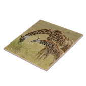 Moeder en baby Masai-giraffe, Giraffa Tegeltje (Zijkant)
